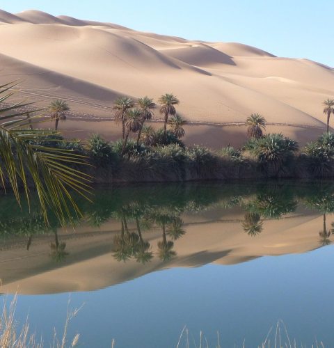 Libya-oasis